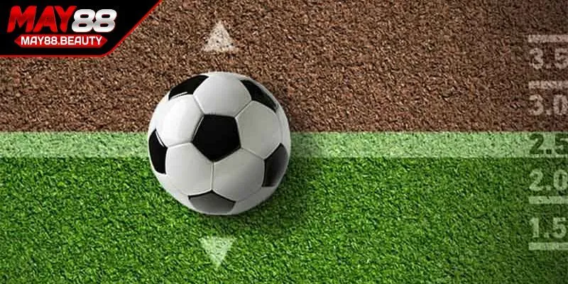 Theo dõi sự biến động kèo