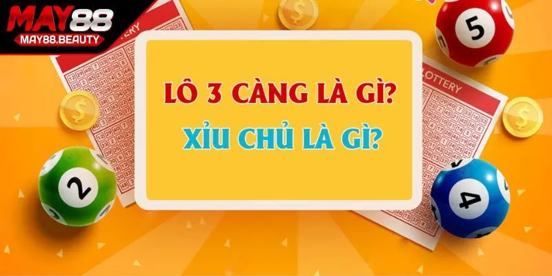 Lô 3 càng là gì?