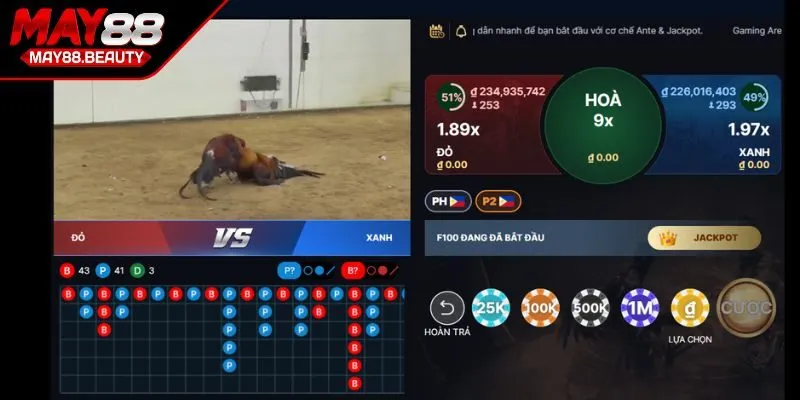 Hệ thống sảnh đá gà chuyên nghiệp