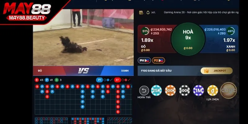 Trải nghiệm cá cược sống động cùng đá gà MAY88