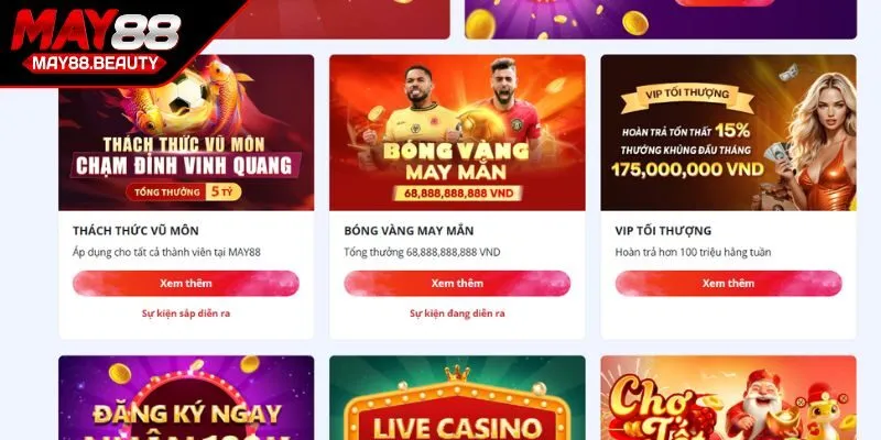 Chương trình rồng vàng du xuân